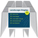 Estacas de barraca de metal galvanizado Garden Staples Sweecomb de 6 cm (50)
