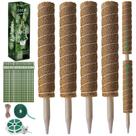 Estacas de Musgo Fabulas para Plantas Trepadoras 16 cm Paquete de 4 com Amarras Estacas de Musgo Fabulas para Plantas Trepadoras 16 cm Paquete de 4 com Amarras