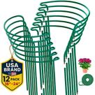 Estacas de suporte para plantas K-Brands 2561 cm, pacote com 12