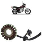 Estator Bobina Pulso Intruder 125 Cargo 2002 2003 2004 2005 2006 2007 2008 2009 2010 2011