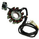 Estator com Bobina Gerador Moto Storm 200 Shineray Original