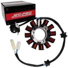 Estator Completo 12 Bobinas FAZER250 06-08/ LANDER250 07-19