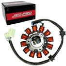 Estator Completo 12 Bobinas FZ25A 18-23/ LANDER250/A 16-23