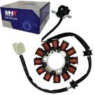 Estator Completo 12 Bobinas LANDER250/A 16-23/ FZ25A 18-23