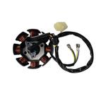 Estator Completo Com Bobina Shineray Shi175 Carburador,orig