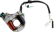 Estator Completo Zouil Biz 100 Es 2000 a 2006
