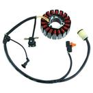 Estator Xre 300 Modelo Original Apos 2013 90278960 - Magnetron