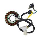 Estator Yes Intruder 125 Stx 200 Tmac TM721
