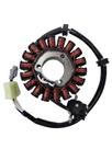 Estator Zouil Fazer Ys 250 11-17/ Xtz Tenere 250 2011-2019
