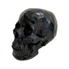 Estatua Cabeça Caveira G Escultura Decoração Halloween Estatua Cabeça Caveira G Escultura Decoração Halloween