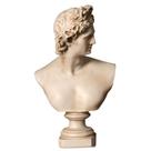 Estátua de busto Apollo 30 cm Escultura em resina clássica grega G