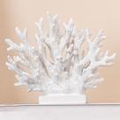 Estátua de Coral Elegondrar Branca - 14,8 cm