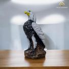 Estátua Gavião Espanta Pombo Pardal Jardim Edição Limitada AVB DECOR