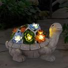 Estátua solar de jardim Nacome Turtle com suculenta e 7 luzes LED Estátua solar de jardim Nacome Turtle com suculenta e 7 luzes LED