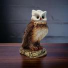 Estatueta Coruja Decoração Casa Envernizada Envio Rápido VÁRIAS VARIEDADES Estatueta Coruja Decoração Casa Envernizada Envio Rápido VÁRIAS VARIEDADES