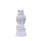 Estatueta Coruja no Livro 16 Cm Gesso Premium Ideal para Decoração DIY ou Presente VÁRIAS VARIEDADES