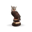Estatueta Coruja No Livro Sabedoria E Sorte Decoração Enfeite Casa Sala Luxo - Várias Variedades