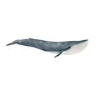 Estatueta de Baleia Azul Schleich Wild Life - Realista para Crianças (3+) Estatueta de Baleia Azul Schleich Wild Life - Realista para Crianças (3+)