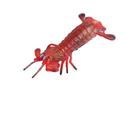 Estatueta de camarão realista, modelo Mini Ocean Animal, 12,5 cm, PVC Estatueta de camarão realista, modelo Mini Ocean Animal, 12,5 cm, PVC