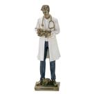 Estatueta Decorativa Veterinário Em Resina