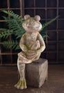 Estatueta KALALOU Frog Concrete pequena multicolorida