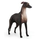 Estatueta realista Greyhound PVC Dog modelo 18 cm para casa