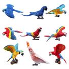 Estatuetas de animais Toymany Parrot Birds, 9 unidades para crianças de mais de 3 anos
