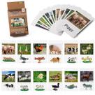 Estatuetas de brinquedo MEROCO Montessori Animal Match Farm Animals