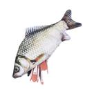 Estojo De Lápis Em Forma De Peixe Realista, Bolsa Para Canetas Crucian Carp Com Zíper, Necessaire Estojo De Lápis Em Forma De Peixe Realista, Bolsa Para Canetas Crucian Carp Com Zíper, Necessaire