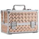 Estojo de maquiagem Leeora & Leekoo Lighted Mirror Rose Gold