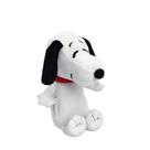 Estojo De Pelúcia Snoopy DAC