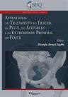 Estratégias Tratamento Trauma Pelve, Acetábulo e do Fêmur - DI LIVROS Estratégias Tratamento Trauma Pelve, Acetábulo e do Fêmur - DI LIVROS