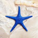 Estrela do Mar 25 cm Azul Mesa Posta Casamentos e Ambientes Temáticos AVB DECOR
