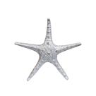 Estrela do Mar 25 Cm Prata Decoração Casa de Praia Piscina Pousada Barco VÁRIAS VARIEDADES