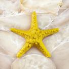 Estrela do Mar 9 Cm Amarelo Decorativa Charme para Seu Ambiente Envio Rapido AVB DECOR