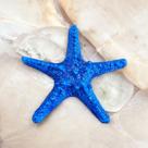 Estrela do Mar Azul 15 cm Decoração Casa de Praia Piscina Pousada Barco VÁRIAS VARIEDADES