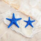 Estrela do Mar Decoração Praiana p/ Pousada Estante Mesa Posta Ambientes Temáticos 2 Pçs AVB DECOR