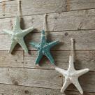 Estrela Do Mar Em Resina Enfeite Casa Praia 16cm Kit 3pçs