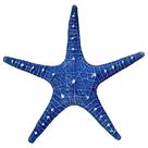 Estrela Do Mar Ilhabela De Pendurar Azul Laranja Verde Bege