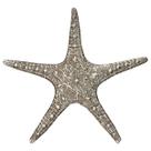 Estrela Do Mar Ilhabela De Pendurar Azul Laranja Verde Bege