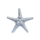 Estrela do Mar Prata 15 Cm Decoração Casa de Praia Piscina Pousada Barco VÁRIAS VARIEDADES