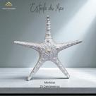 Estrela do Mar Prata 25 Cm Decorativa Inspiração Boho Praia Verão AVB DECOR