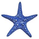 Estrela Do Mar Resina P/ Pendurar Parede Pousada Praia 20cm