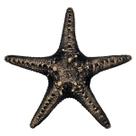 Estrela Mar Pendurar Parede Pousada Praia Resina 20cm Preto