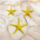 Estrelas do Mar Decorativa Tema Náutico Estilo Boho Chic, Rústico e Tropical Kit 3 Peças AVB DECOR