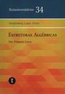 Estruturas Algébricas: um primeiro curso