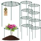 Estruturas de suporte para plantas TTQ 30 x 40 cm, kit com 8 unidades, verde, ferro