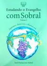 Estudando o evangelho com sobral vol 2 Estudando o evangelho com sobral vol 2