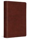 Estudo estudantil de ESV da Bible Crossway TruTone Chestnut