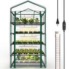 Estufa interna Bstrip de 5 níveis com luzes de cultivo